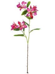 Kwiat sztuczny BAUHINIA REDKwiat sztuczny BAUHINIA PURPLE